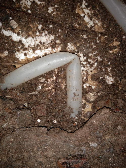 元谋堵点精准查找